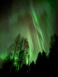 Your Peace Of Lapland