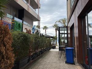 Bel Mare Apartment 1