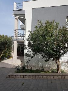 Apartments with a parking space Novalja, Pag - 23643 