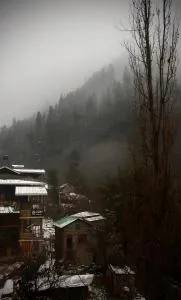 Odin Hostel Jibhi - Shoja