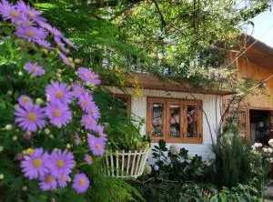 Hiên Nhà Có Hoa Homestay - 洛伊城