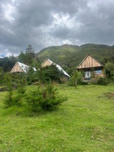 Maverick Camp, Rondavels and Homestay