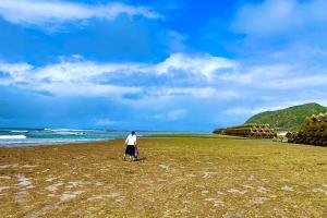 Mansions with Coral Island and Natural Pools
