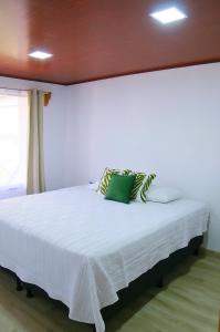 Casa Hoja Monteverde 2