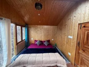 Cabin in the woods - Jibhi