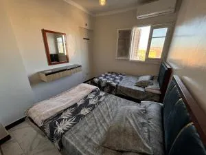 Center Point Luxury apartment - 阿斯旺