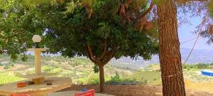 Olive Grove Cottage Guest house - Koilani