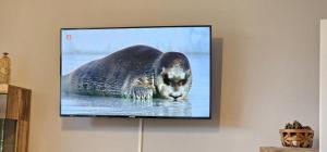 Appartementhaus-Kogge-Wohnung-6