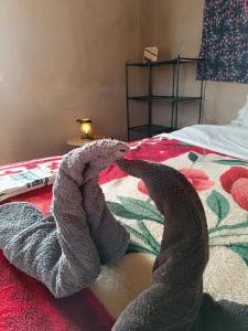 Guest House Nomad Life