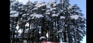 Dalhousie bed and breakfast