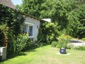 Spitzenkemenate - Neustadt