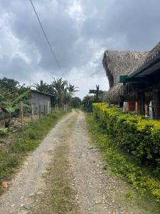 Rancho forest Victoria