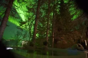 Aurora Haven - With jacuzzi - Botn