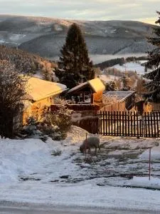 Horská chata NATURA Nové Město - Mariánská