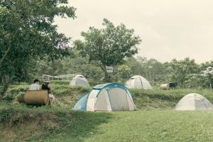 The Apiary Mountain Camp and Farm