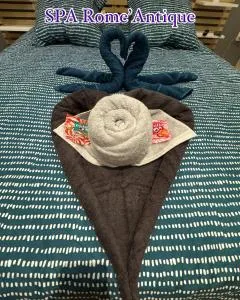 SPA Rome Antique - Carvin