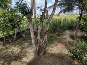 Casa temporada jauá ba 7 qts, 200 MTS praia