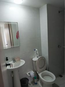 Búho, alameda del río