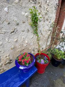 Maisons de vacances La maison bleue : photos des chambres