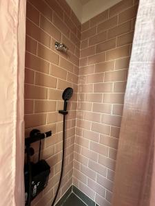 Maisons de vacances La maison bleue : photos des chambres