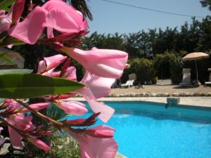 Maisons de vacances Gites Climatises Piscine Chauffee La Balancelle : photos des chambres