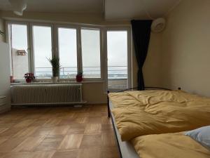 Rooftop apartment with city park view