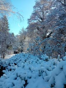 B&B / Chambres d'hotes Le Moulin des Roses : photos des chambres