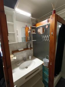 Pieds des Pistes - Le Renard