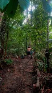 Viverde selva Redario natural - Belterra