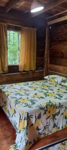 Sitio Holistico Natureza Sanadora