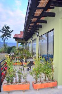 Monteverde Best Inn - HOTEL