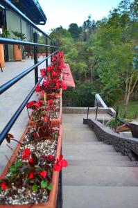 Monteverde Best Inn - HOTEL