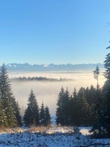 Apartament w górach Gorce