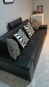 Basement Apartment Studio