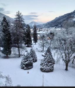 Appart'hotels Le Splendid hotel appartement : photos des chambres