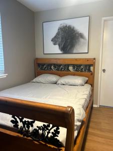 Western style pool home, 4 bedroom and large yard