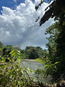 Glamping by the River