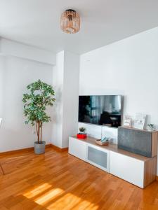 NEW APARTAMENTO DENTRO CASCO HISTÓRICO "Susurros de la Piedra Escrita"