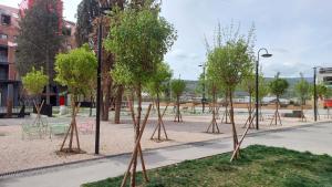 Rooftop apt Avlabari with with open view #3