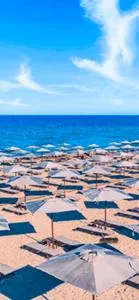 Judy's Ocean Life - 略夫雷加特河畔奥斯皮塔莱特