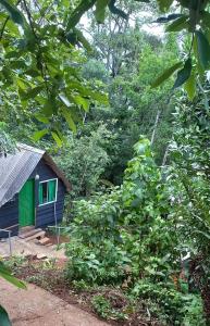 Sitio Holistico Natureza Sanadora