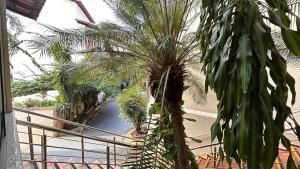 Apartamento 1 quarto