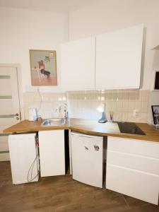 Art Apartment near Skadarliјa