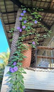 Chácara da Chris - Sossego, Lazer e Praia