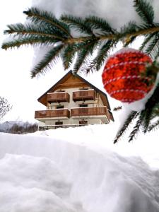 nowe Apartamenty górskie krajobrazy z widokiem na Śnieżnik - Willa Sowia