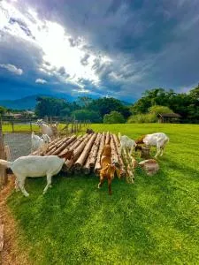 Hospedagem Zilz - Itoupava Régia