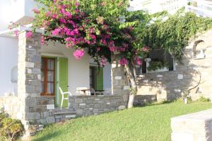 Elena Studios & Apartments Paros Greece