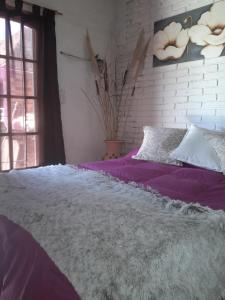 Las Hortensias-monoambiente