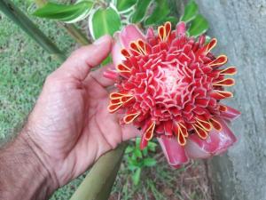 Apartamento térreo 1 dormitório 300m do mar