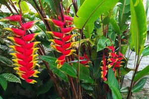 Apartamento térreo 1 dormitório 300m do mar